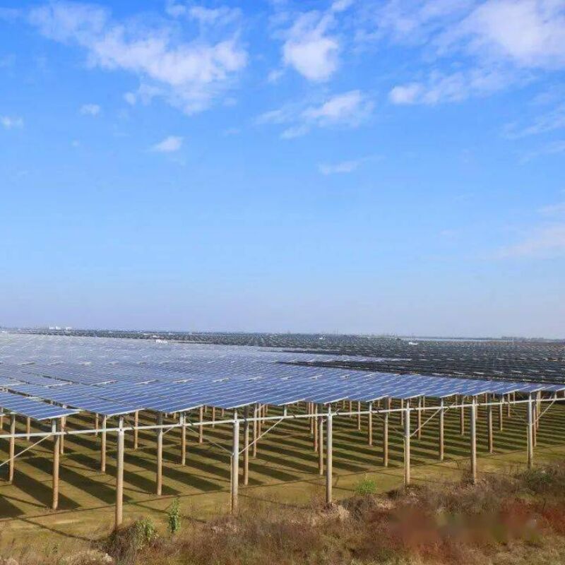 Giá đỡ lắp đặt năng lượng mặt trời trên mặt đất, cung cấp khả năng chịu tải gió và tuyết mạnh mẽ với thiết kế cọc độc đáo và các thành phần được lắp ráp sẵn